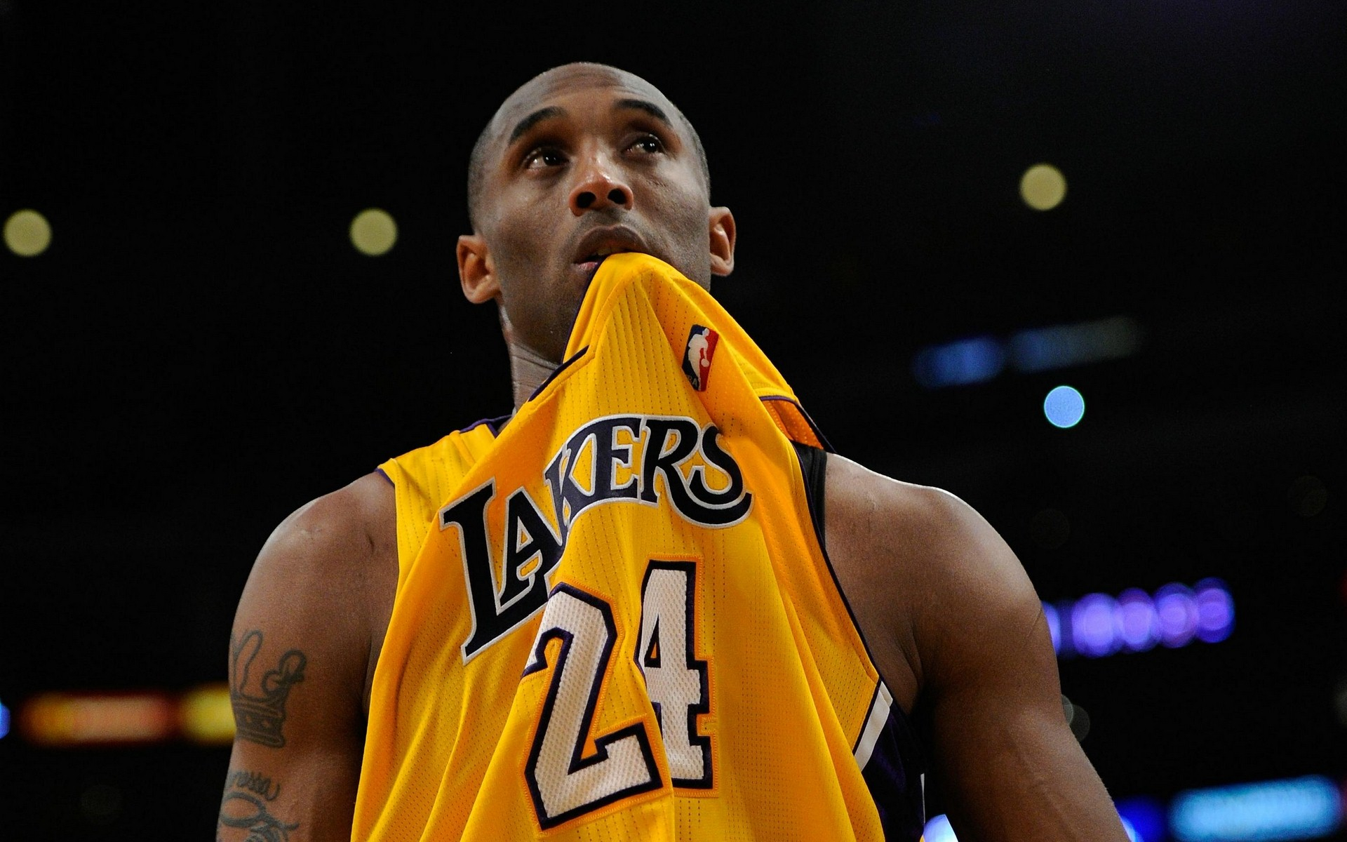 并在现场用 并在现场用