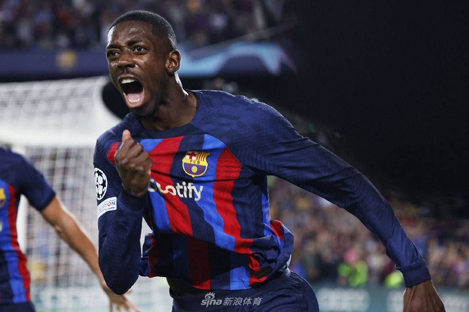 系中的表现 系中的表现